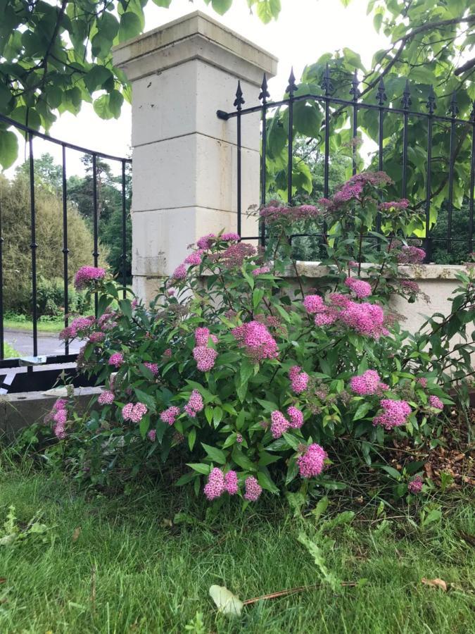 Gite Nature Loire Et Chateaux 3* فيلاندري المظهر الخارجي الصورة